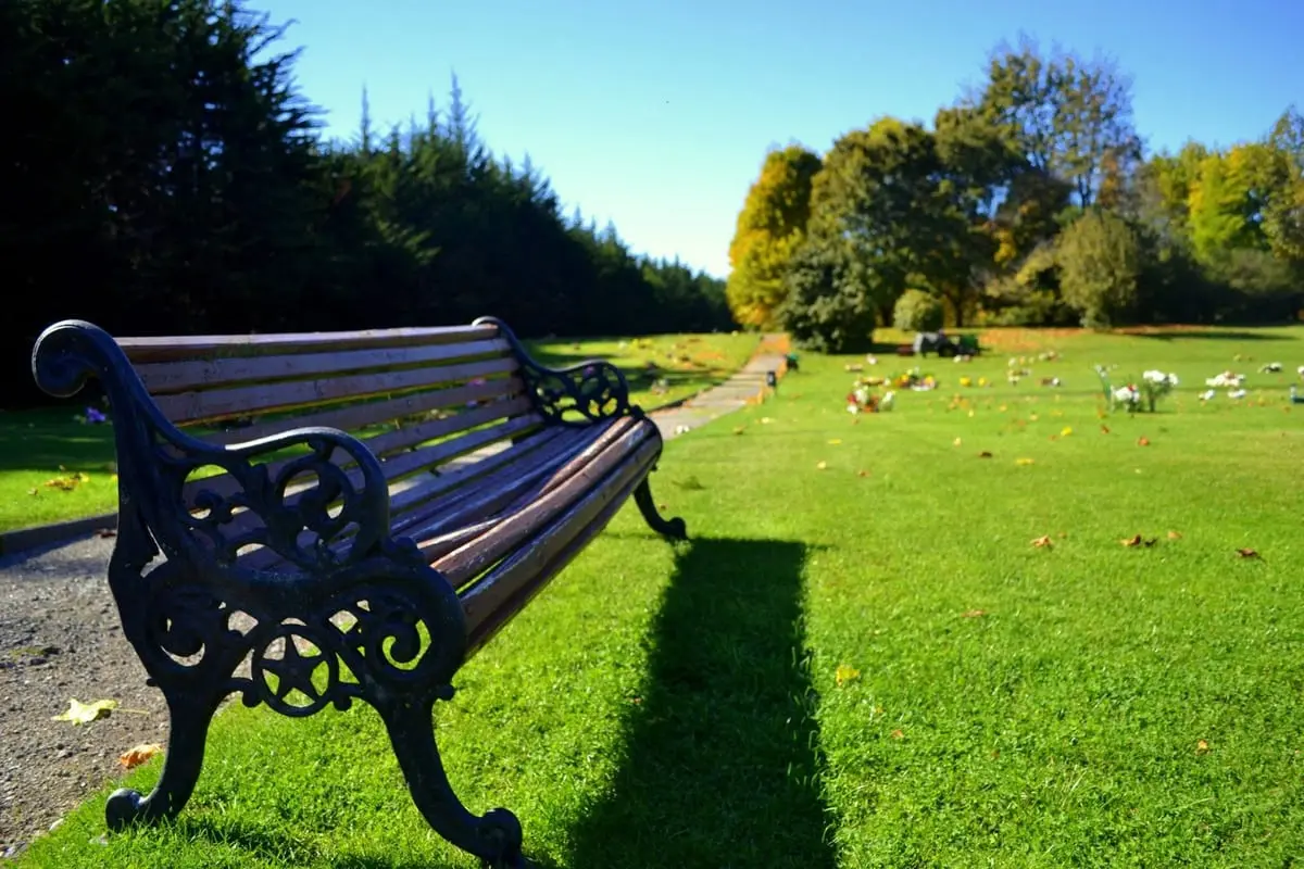 Banca junto a los jardines de Parque San Pedro, un lugar para la calma y la reflexión